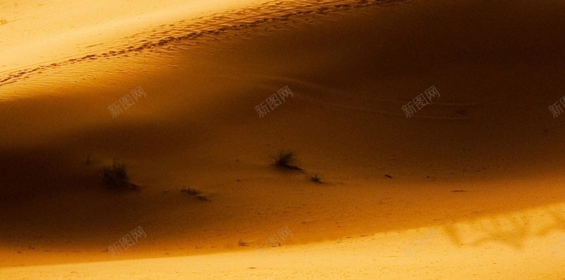 沙漠H5背景jpg_88icon https://88icon.com H5 h5 一带一路 一带一路宣传画 一带一路峰会 一带一路战略 一带一路路线 一带一路高峰论坛 丝绸之路 摄影 服务一带一路 沙漠 简约 背景 风景 骆驼 黄色