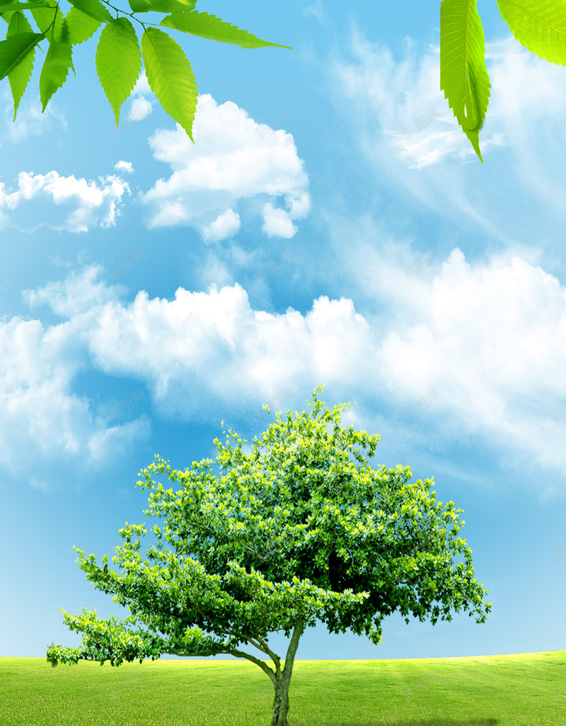 绿色环保清新海报背景psd设计背景_88icon https://88icon.com 低碳 公益 城市 小清新 文艺 海报 清新 环保 白云 简约 绿色 蓝天