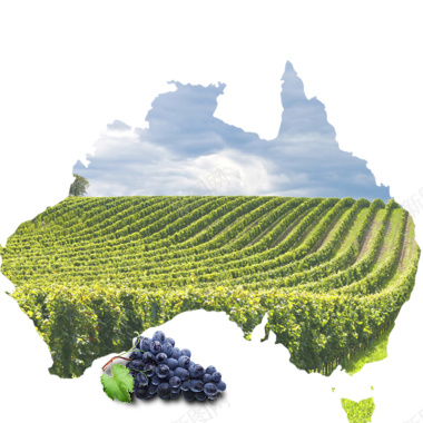 澳大利亚澳洲葡萄酒PSD分层主图背景背景