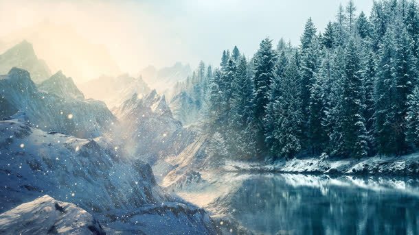 冬日雾凇森林美景背景