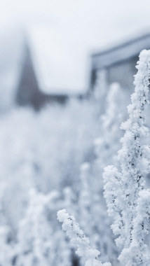 雪景雪花冬至简约背景摄影图片