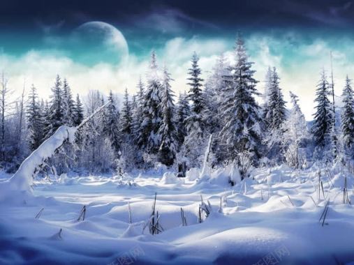 冬季雪地树林海报背景背景
