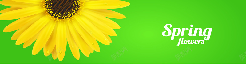 清新绿底黄色菊花背景矢量图背景