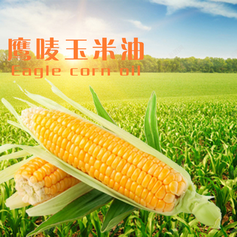 食品促销主图psd设计背景_88icon https://88icon.com 天空背景 小清新 玉米地背景 玉米油促销 简约 食品促销