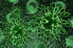绿色病毒体图片绿色球体代词状病毒体高清图片