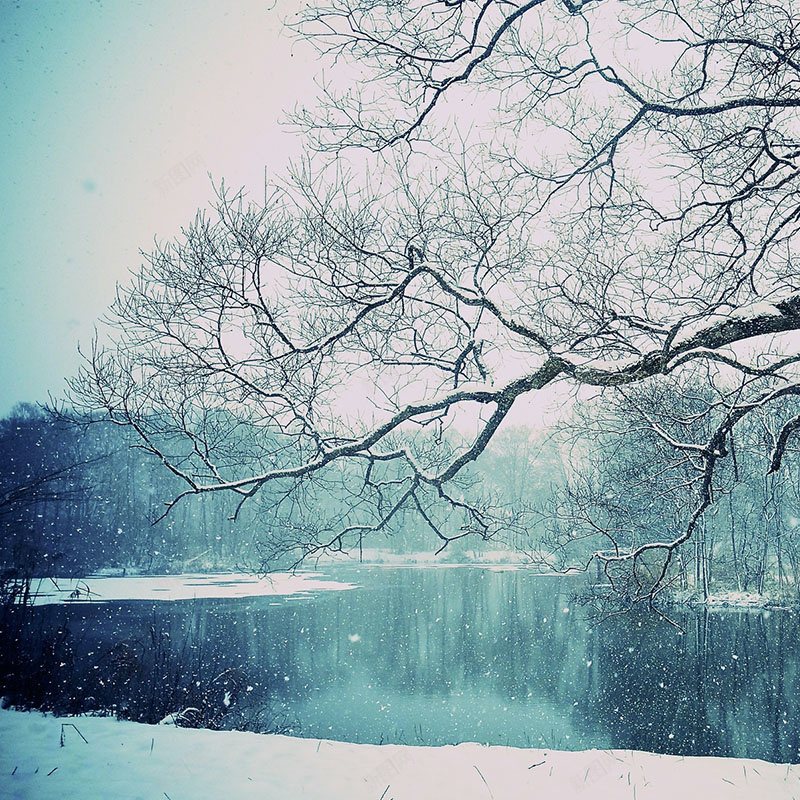 雪景风景淘宝主图背景元素jpg设计背景_88icon https://88icon.com 主图 元素 淘宝 背景 雪景 风景