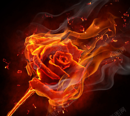炽热的火焰玫瑰背景