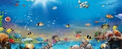 鱼儿海底世界海底世界展板背景高清图片