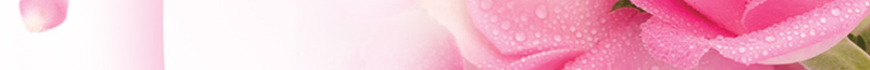 粉红色玫瑰花背景psd设计背景_88icon https://88icon.com 广告设计模板 海报设计 玫瑰花 美容院价目表 美甲价目表 花纹