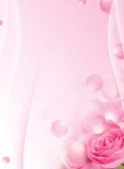 美容院价目表粉红色玫瑰花背景高清图片