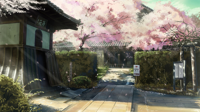 阳光下的樱花树背景