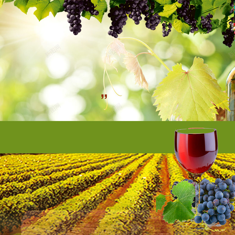 清新葡萄果园PSD分层主图背景jpg设计背景_88icon https://88icon.com 主图 叶子 果园 淘宝 清新 直通车 绿叶 绿色 葡萄酒 酒 酒庄 酒杯 高脚杯