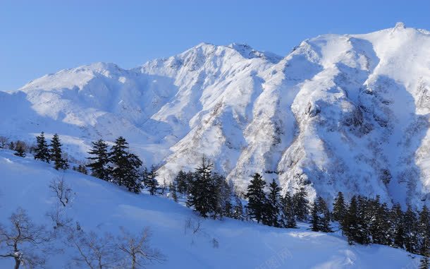 白色雪山美景大树jpg设计背景_88icon https://88icon.com 大树 白色 美景 雪山