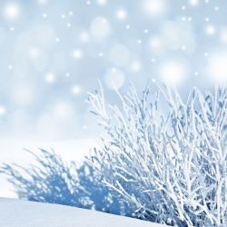 雪地与光斑图片美丽冬天雪地背景高清图片
