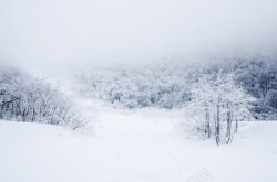 白茫茫的雪地白茫茫的雪地树林高清图片