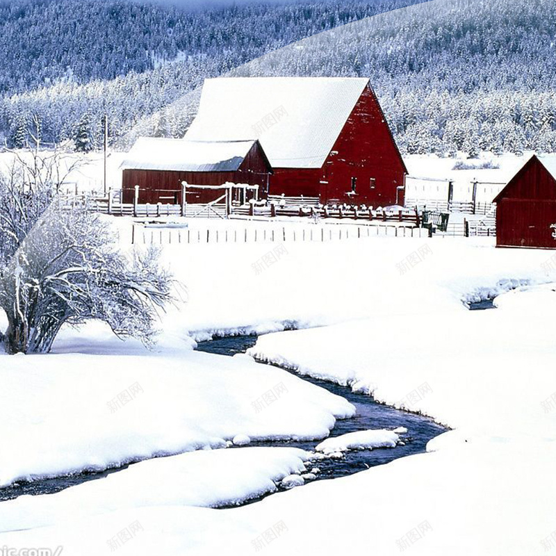 冬季雪景简约背景图psd_88icon https://88icon.com 主图 冬装 大气 摄影 白色 简约 雪景 风景