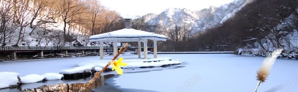 圣诞节背景背景