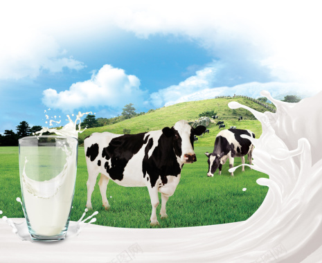 新鲜牛奶品质宣传海报背景背景