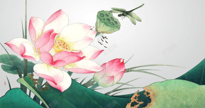 中国风手绘荷花与蜻蜓背景背景