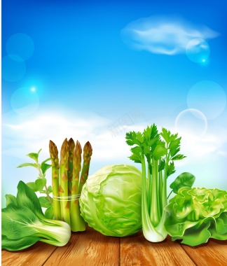 绿色蔬菜矢量图背景