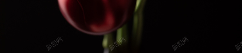 红宝石金属玫瑰3jpg设计背景_88icon https://88icon.com 玫瑰 红宝石 金属 金属玫瑰