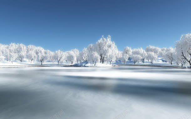 冬天雪景树林背景jpg设计背景_88icon https://88icon.com 冬天 树林 背景 雪景