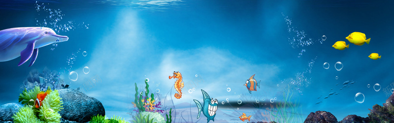 夏天游玩海洋动物世界蓝色背景背景