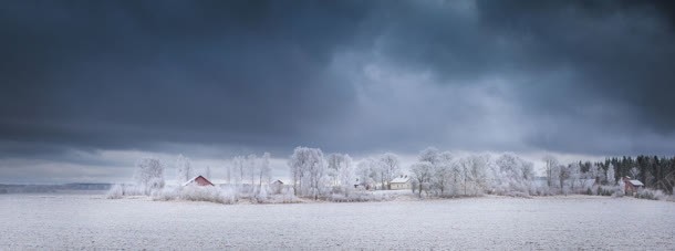 冬日雪地场景森林jpg设计背景_88icon https://88icon.com 冬日 场景 森林 雪地