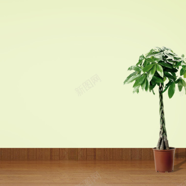 家居室内地板墙面植物主图摄影图片