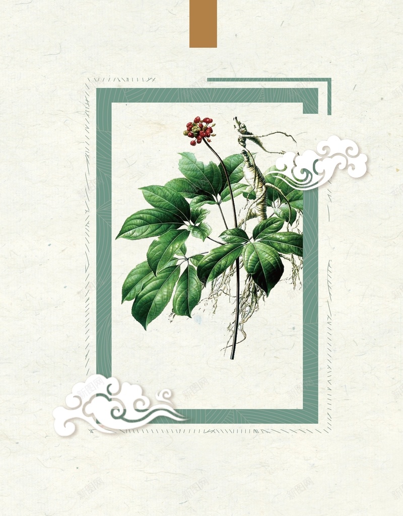 中式矢量祥云人参中医海报背景ai设计背景_88icon https://88icon.com 中医 人参海报 人参花 人参鸡汤 西洋参 西洋参宣传 西洋参海报 野外参 野外参广告 长白山人参 矢量图