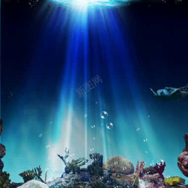 炫酷海底世界背景图摄影图片
