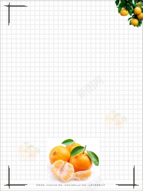 秋季水果桔子促销矢量海报背景模板背景