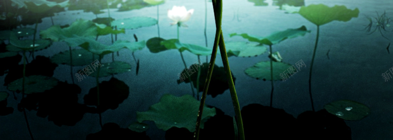 荷叶水墨中国风海报背景psd设计背景_88icon https://88icon.com 中国风 荷叶水墨中国风海报背景