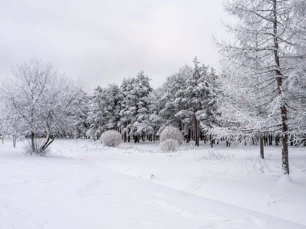 雪景万籁俱寂壁纸jpg设计背景_88icon https://88icon.com 万籁俱寂 壁纸 雪景