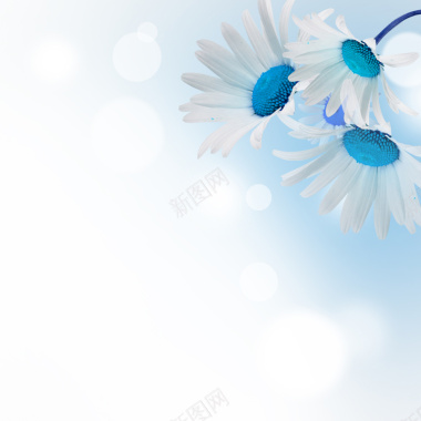 唯美浪漫的蓝色花朵背景