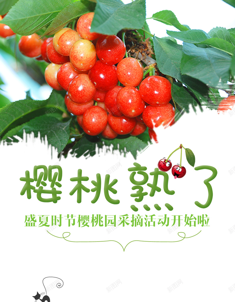 绿色春天樱桃背景psd设计背景_88icon https://88icon.com H5 h5 小清新 文艺 春天 树叶 樱桃 樱桃熟了 简约 绿地 绿色