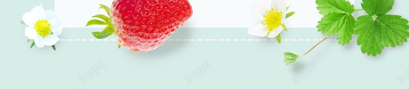 创意绿色有机水果草莓背景psd设计背景_88icon https://88icon.com PSD源文件 PSD素材 分层文件 创意 有机 有机食品 果蔬 水果 绿色 背景模板 背景海报 背景素材 草莓 食品安全 高清背景