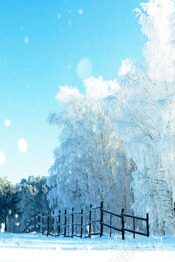浪漫冬季唯美风景摄影图片