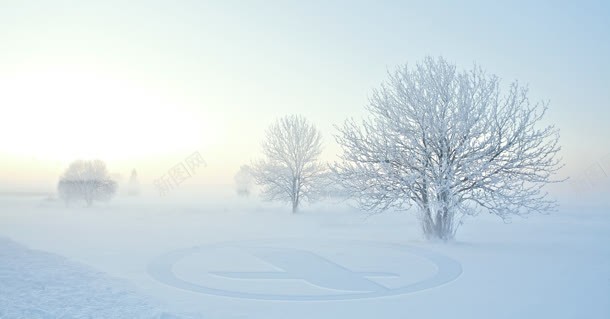 白雪树木冬天雪景jpg设计背景_88icon https://88icon.com 冬天 树木 白雪 雪景