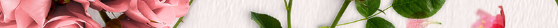 简约玫瑰花束婚礼鲜花定制海报背景psdpsd设计背景_88icon https://88icon.com psd 婚礼鲜花定制 海报背景 玫瑰 玫瑰花瓣 简约 花束 花瓣
