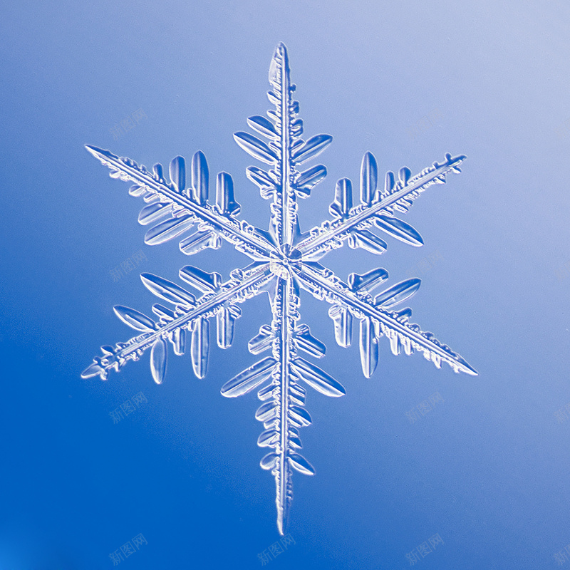 漂亮的水晶雪花jpg设计背景_88icon https://88icon.com 冬天 冰块 唯美背景 水晶雪花 雪 雪花