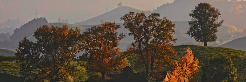 秋季落叶美景摄影11摄影图片