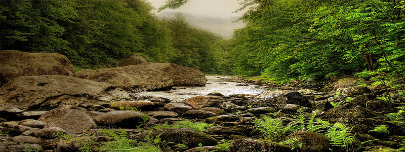 唯品会bannerjpg设计背景_88icon https://88icon.com 世界风景 各国风光 小清新 山峰 山川风景 山水风景 戈壁 文艺 森林 沙漠 河流 海报banner 祖国山河 简约 自然风景 雪地 雪山 雪景 风景壁纸 风景大全 风景摄影 风景素材 高清风景桌面素材 龟裂的土地