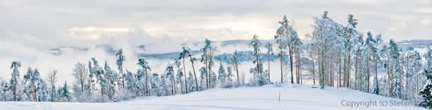 冬季森林雪景banner背景