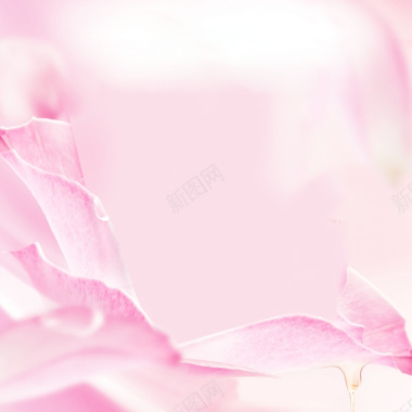 粉色花瓣化妆品主图背景