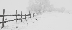 雪满天木冬季的雪地和栅栏高清图片