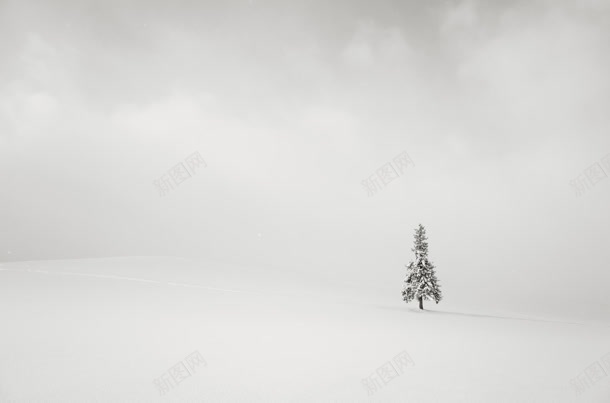 白雪茫茫松数一颗jpg设计背景_88icon https://88icon.com 白雪 茫茫