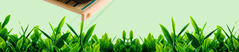 创意简约乌龙茶海报psd设计背景_88icon https://88icon.com 中华人民共和国省级行政区 中国台湾省 乌龙茶 乌龙茶养生 乌龙茶发酵 乌龙茶饮料 台湾乌龙茶 泡茶 福建乌龙茶 茶具 茶叶