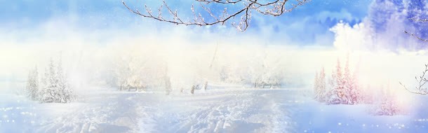 冬季唯美淘宝背景图jpg设计背景_88icon https://88icon.com 唯美 树木 简洁 质感 雪景