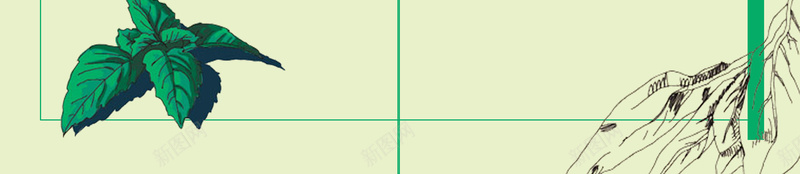 植物药草海报背景psd设计背景_88icon https://88icon.com 中草药 卡通海报 手绘海报 植物海报 植物药草 清新 简约 药草海报